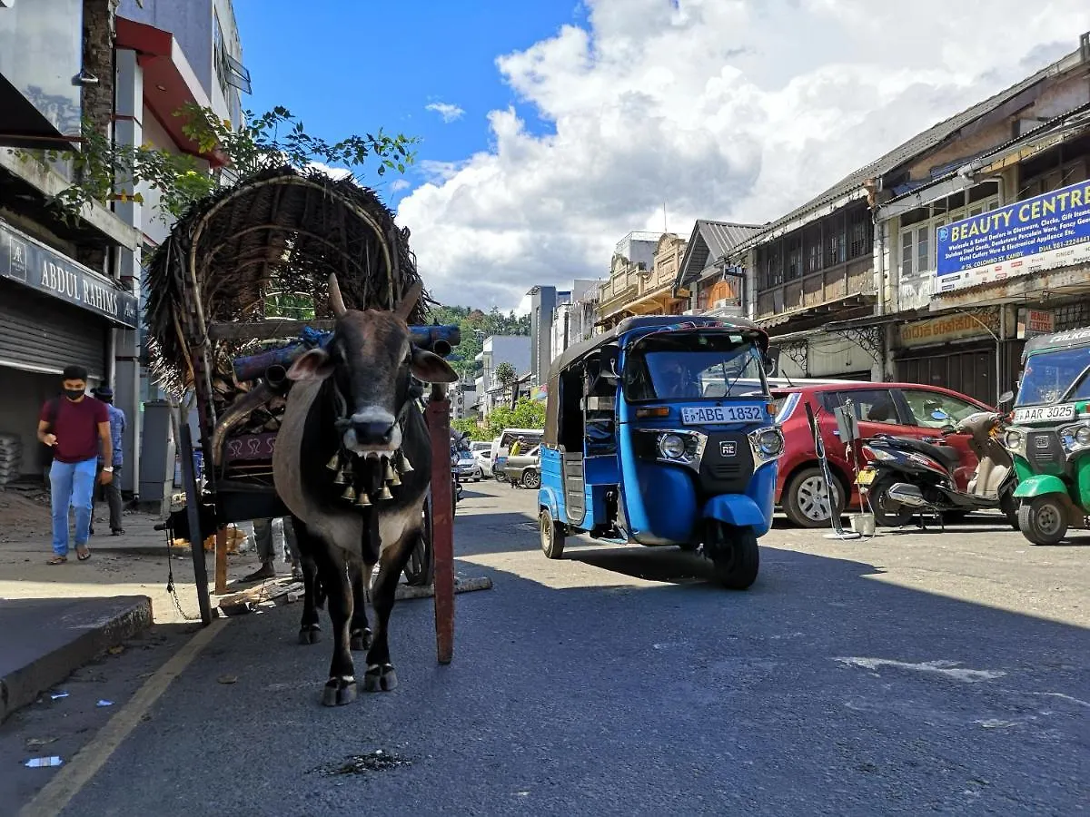 De Paris A Kandy Homestay